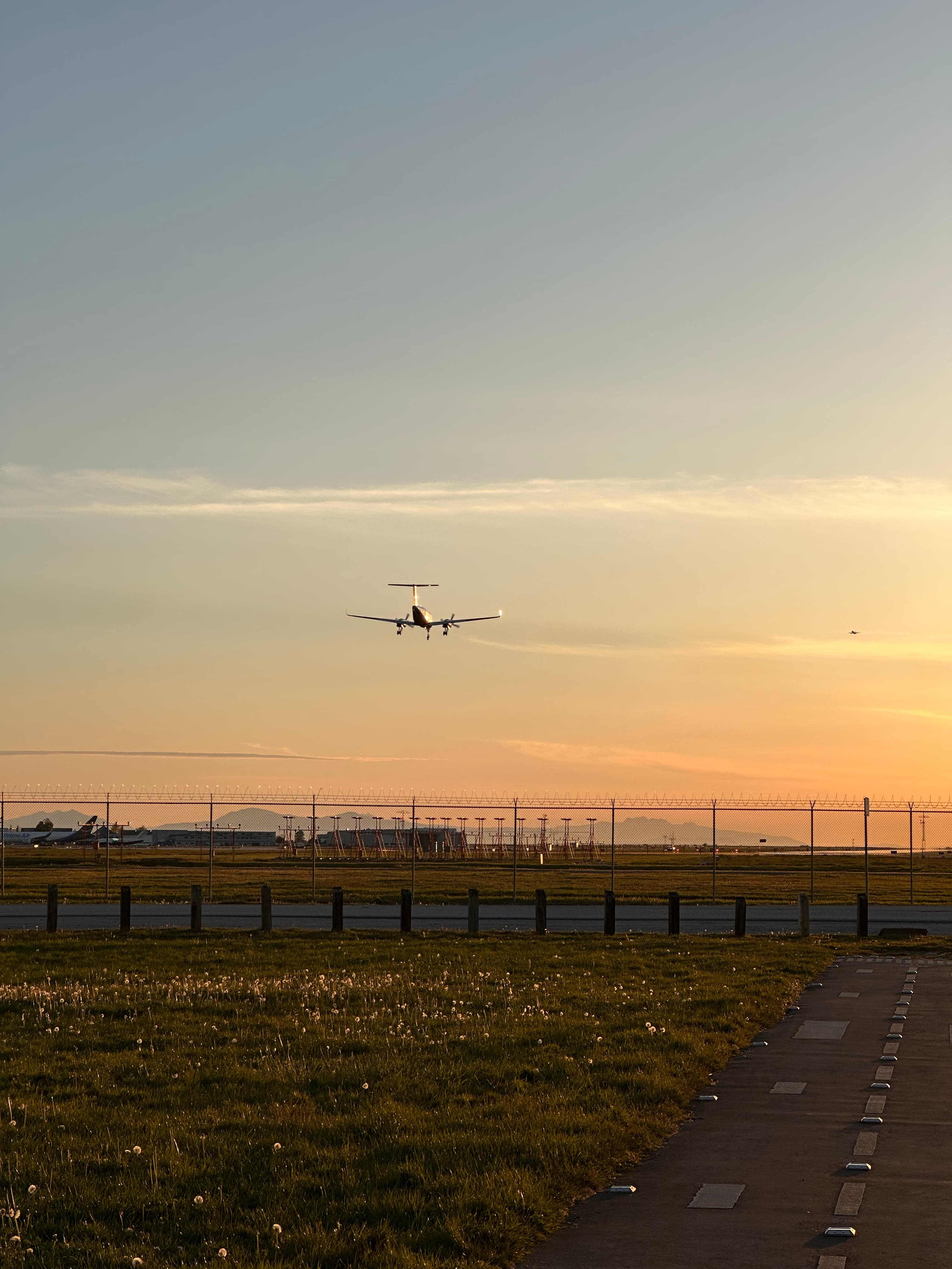 Plane landing at dawn